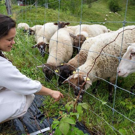 La Vieille Ferme, Ecogite Saint-Fulgence ภายนอก รูปภาพ
