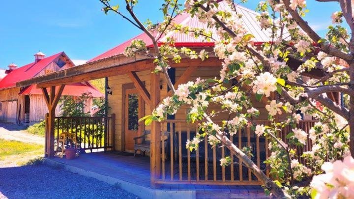 La Vieille Ferme, Ecogite Saint-Fulgence ภายนอก รูปภาพ