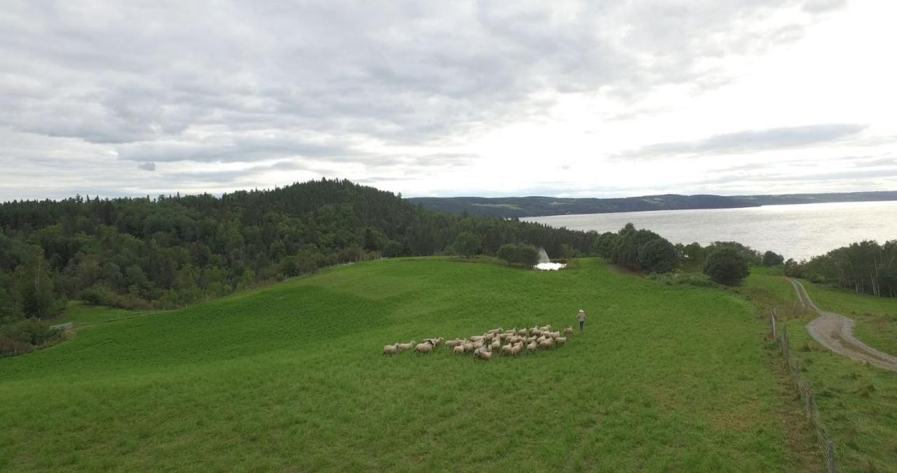 La Vieille Ferme, Ecogite Saint-Fulgence ภายนอก รูปภาพ