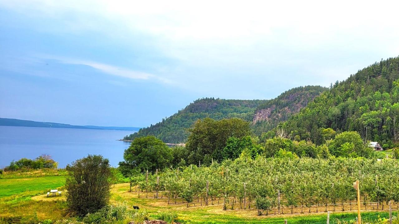 La Vieille Ferme, Ecogite Saint-Fulgence ภายนอก รูปภาพ