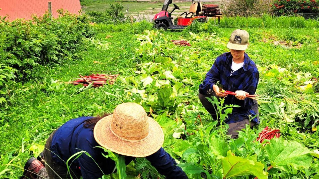 La Vieille Ferme, Ecogite Saint-Fulgence ภายนอก รูปภาพ