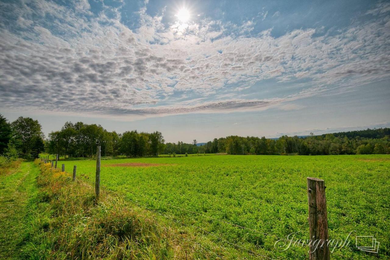 La Vieille Ferme, Ecogite Saint-Fulgence ภายนอก รูปภาพ